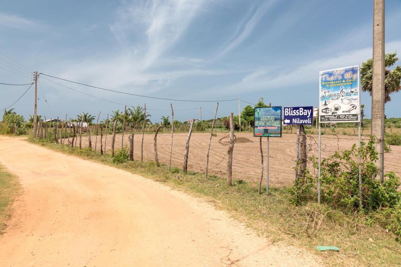 Bliss Bay Nilaveli Hotel Bagian luar foto